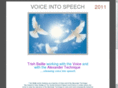 voiceintospeech.com