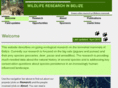 belizewildliferesearch.com