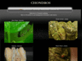 mychondros.com