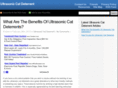 ultrasoniccatdeterrent.com