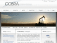 cobraventure.com