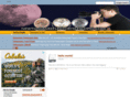 newtonianreflectortelescopes.com