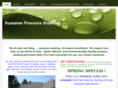 suwaneepressure.com