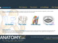 anatomyplz.com