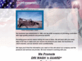driwash4u.com