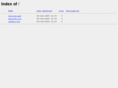 lieberman.net