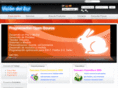 visiondelsur.com