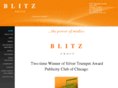 blitzgroupllc.com