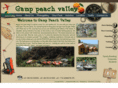 camppeachvalley.com