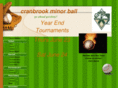 cranbrookminorball.com