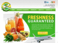 jamaicadirectsupply.com