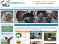 pacificwildlifecare.org