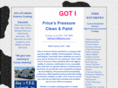 thegotpaintguy.com
