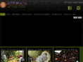 zorbasrawchocolates.com