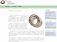 broncesalabau.org