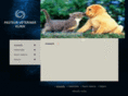 bursapasteurvet.com