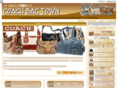 coach-bag-town.com