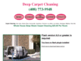 deepsteamcleaning.com