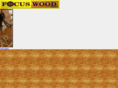 focuswoodsa.com