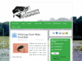 funcfish.com