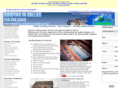 roofing-in-dallas.com
