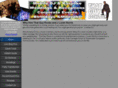 thatguyrocks.com