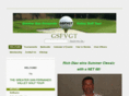 gsfvgt.com