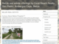 realestateinbelize.biz