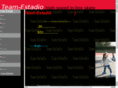 team-estadio.com