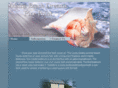 mainebeachdreams.com