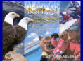 alaskasbesttravel.com