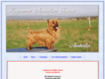 australianterriers.com.au