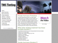 tmstint.com