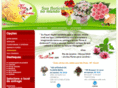 viaflores.net