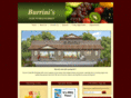 burrinis.com