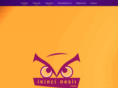 ikincinesil.net