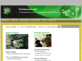 itdesignexpert.com