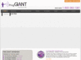 pinggiant.com