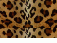 salondipanache.com