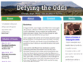 defyingtheodds.net