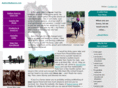 nativeskyranch.com