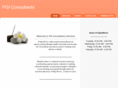 thepgiconsultants.com
