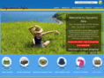 dynamicasia.com