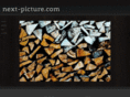 next-picture.com
