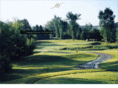 oliversnest.com