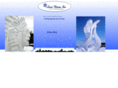 snowvisions.com