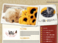 sougisearch.net