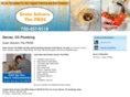 plumbingdrainsolvers.com