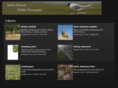 sewildlife.com