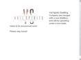 vailspirits.com